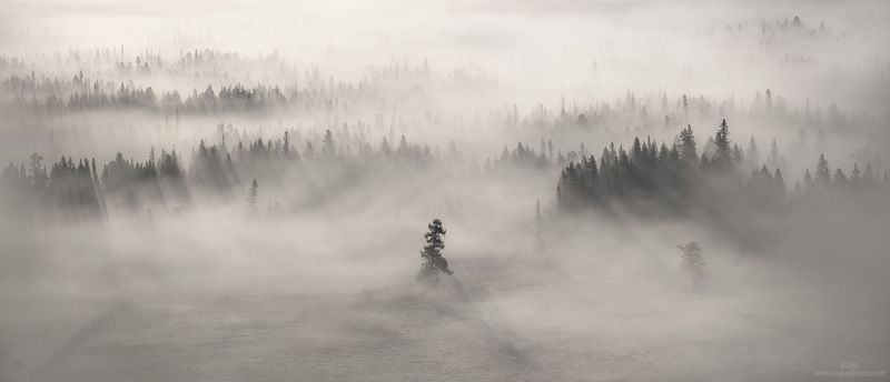 сибирь, алтай, курай, altai, altay, siberia в Курае фото превью