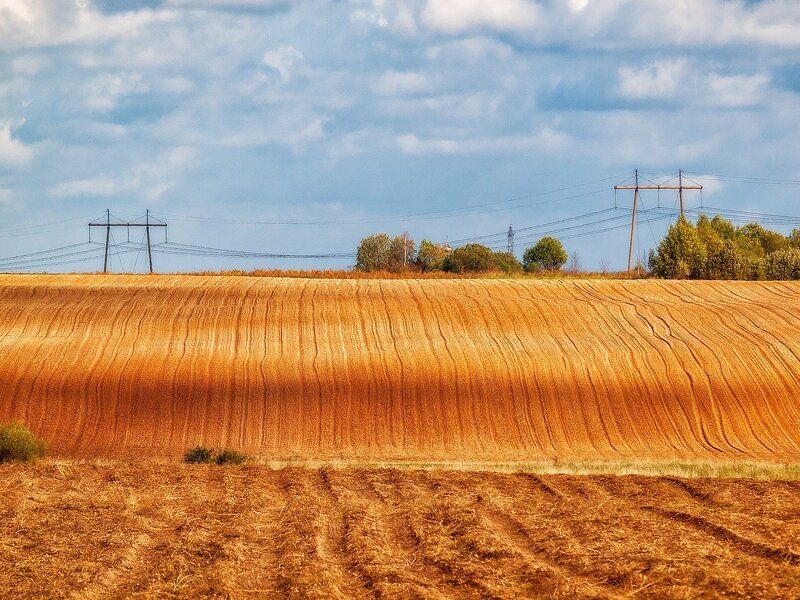 Борозда фото. Борозда осенью. Праздная борозда. Борозда на поле. Осень поле с бороздой.