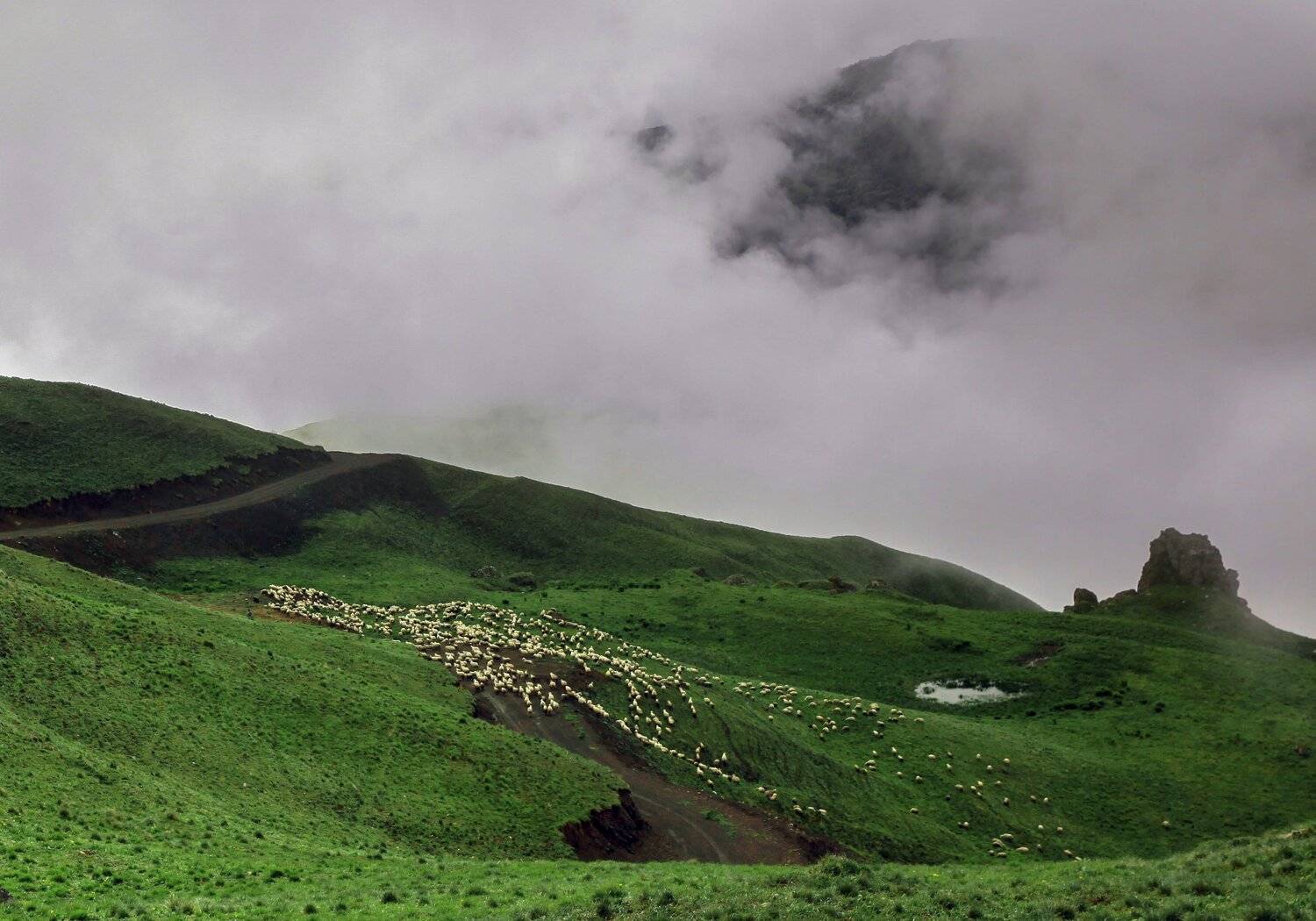 горы,лето,пейзаж,овцы, Marat Magov