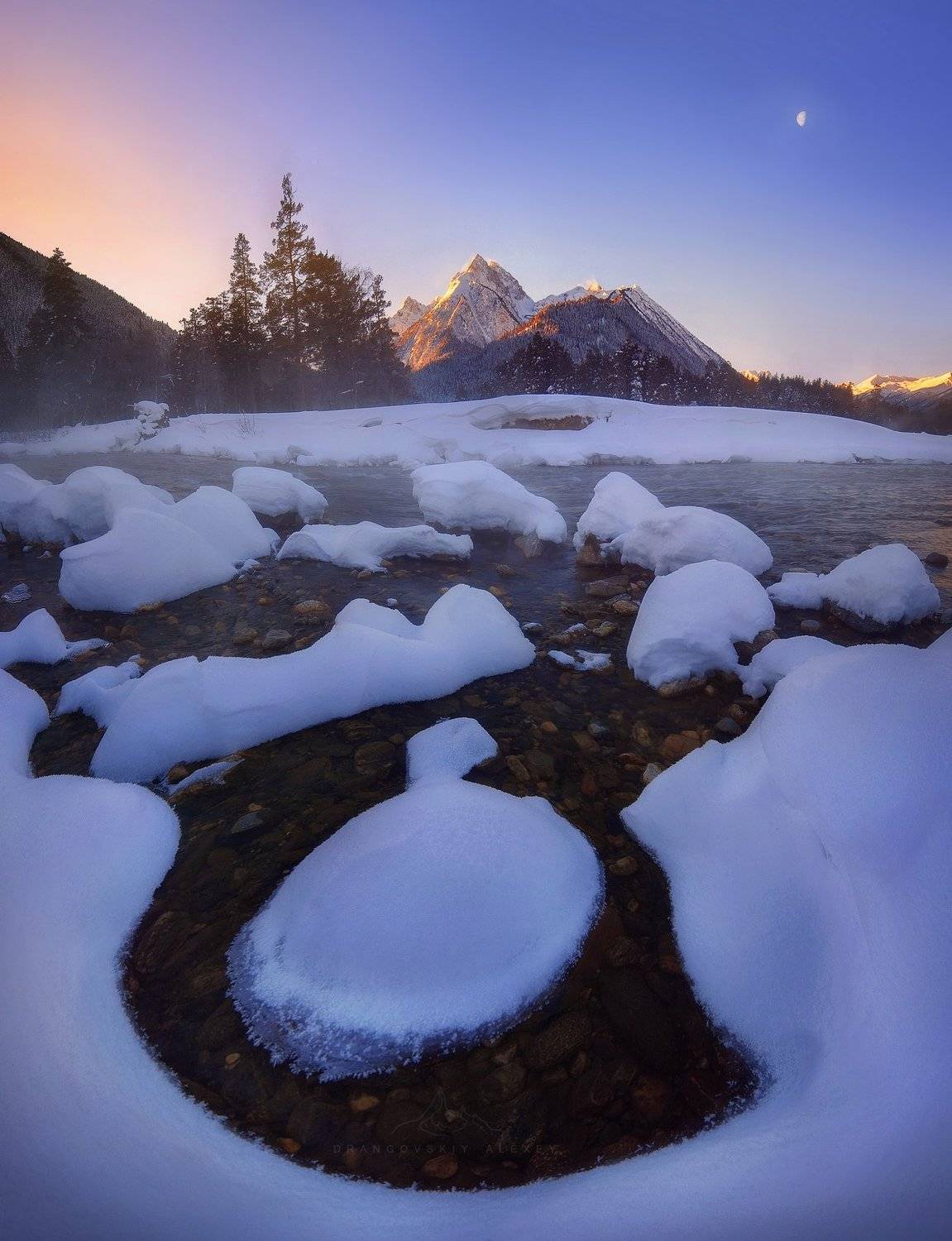 , Алексей Дранговский