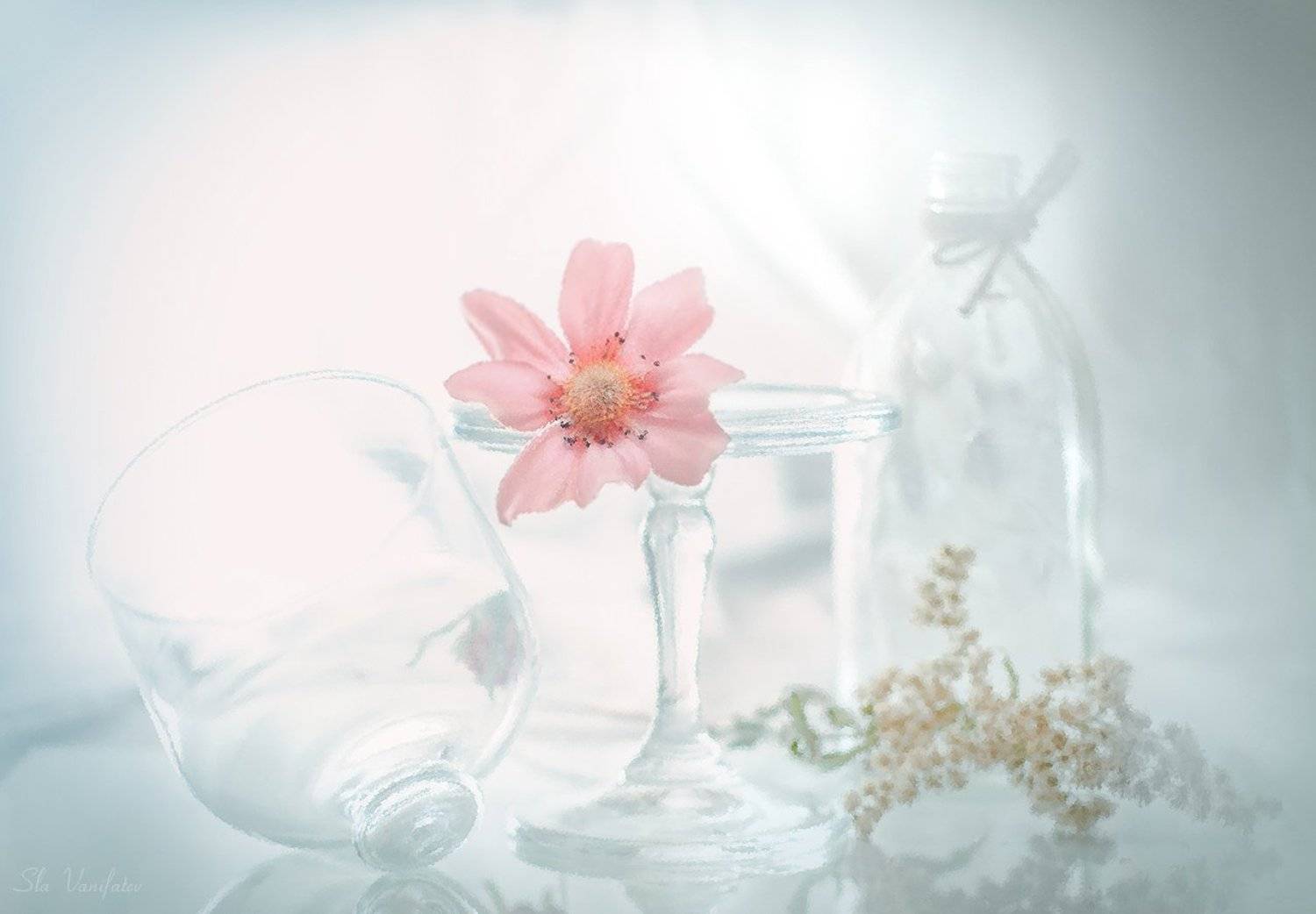 , Вячеслав Ванифатьев