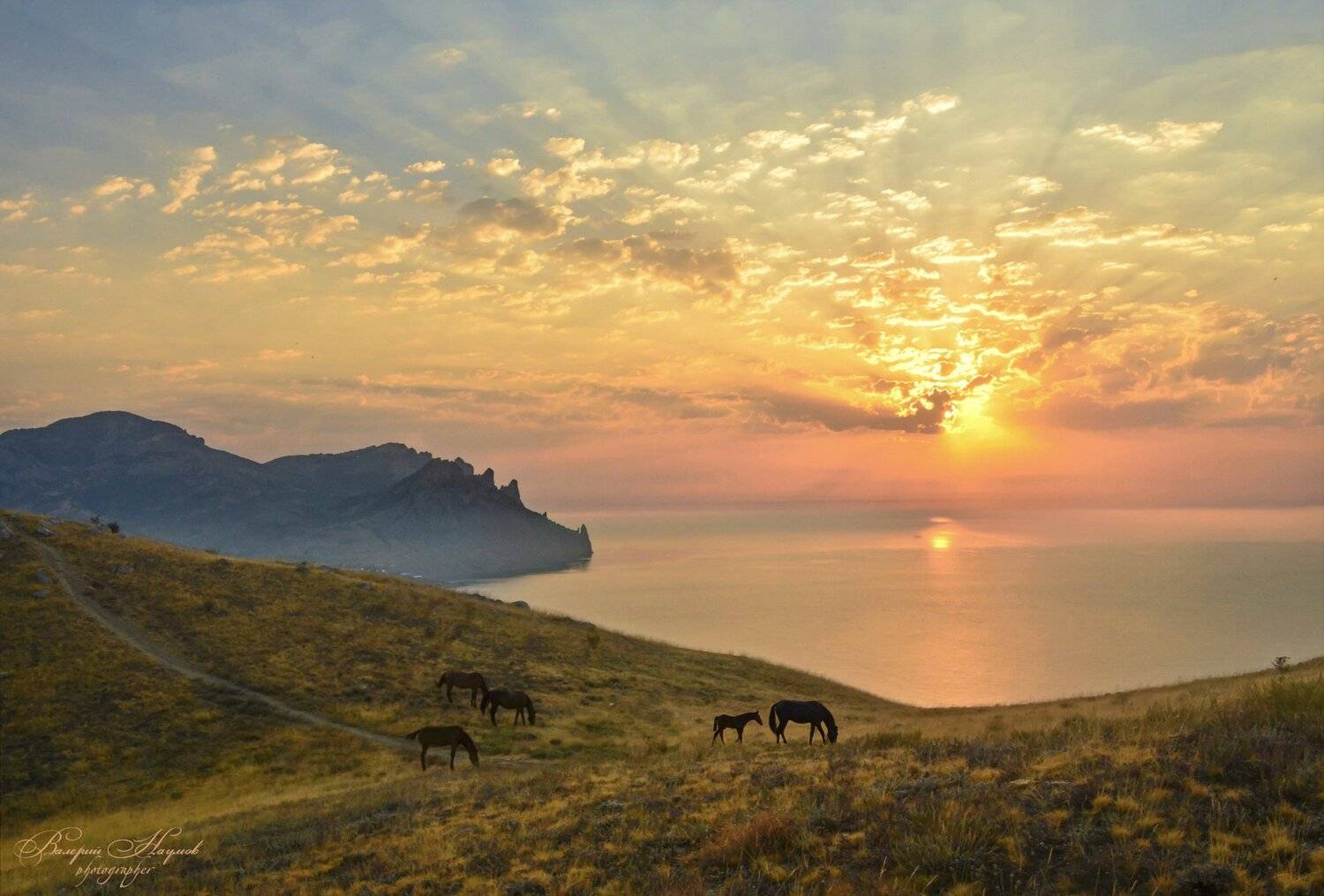 крым, кара-даг, утро, рассвет, море, лучи, лошади, Валерий Наумов