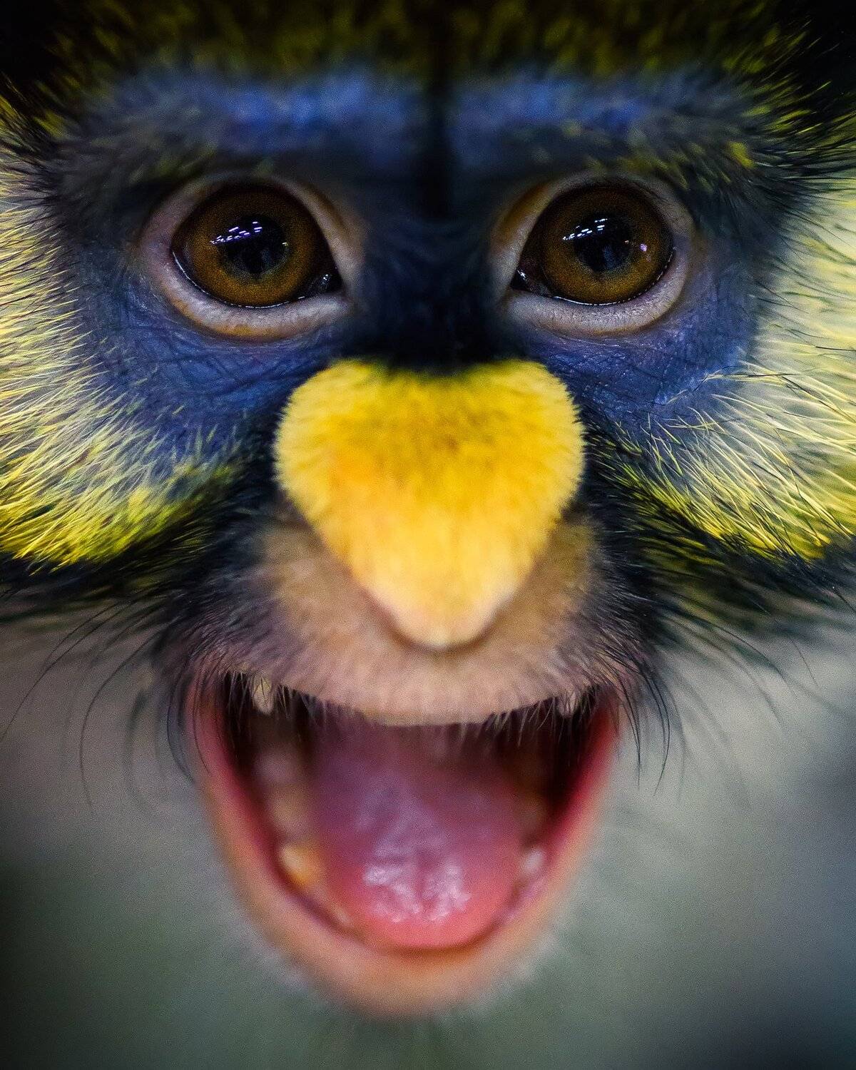 , Сергей Скоробогатов