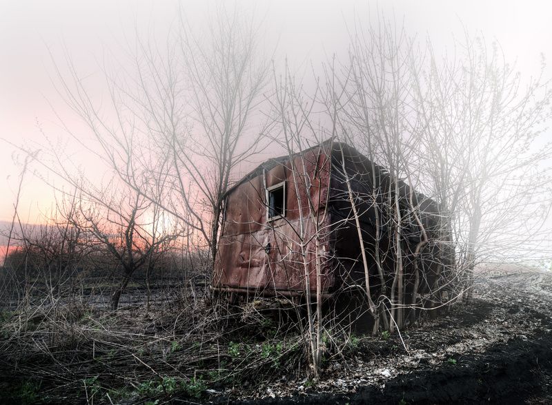 Страж старого сада фото превью