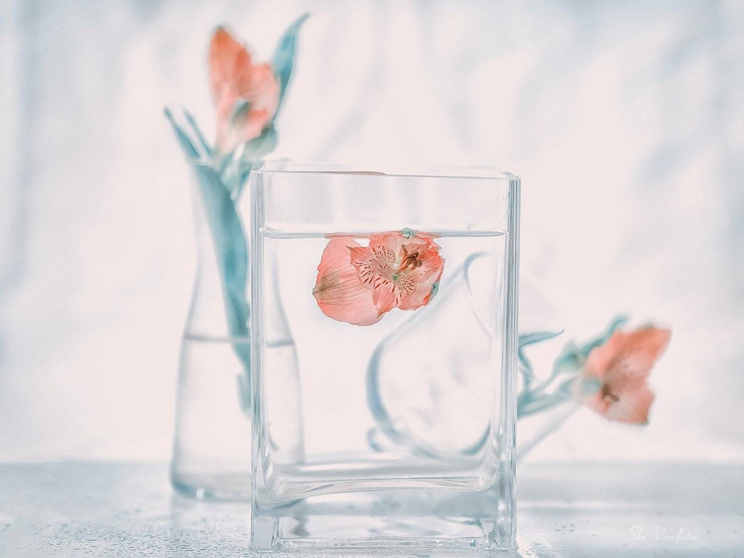 , Вячеслав Ванифатьев