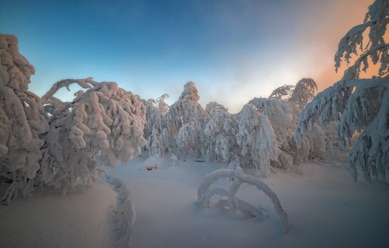 Молочная изморозь. фото превью