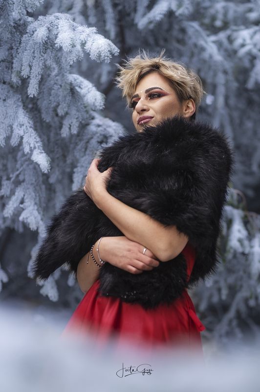 Ligia фото превью