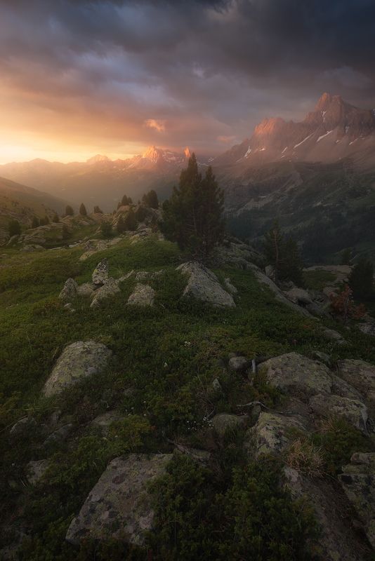 Predawn фото превью