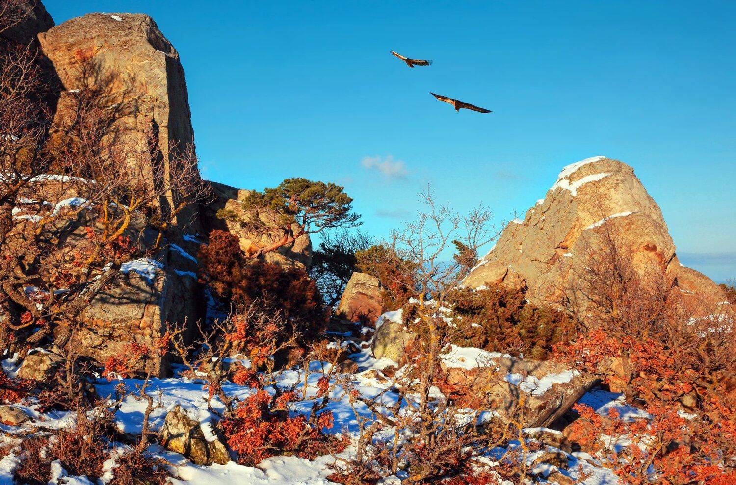 горы,зима,просторы,дагестан, Marat Magov