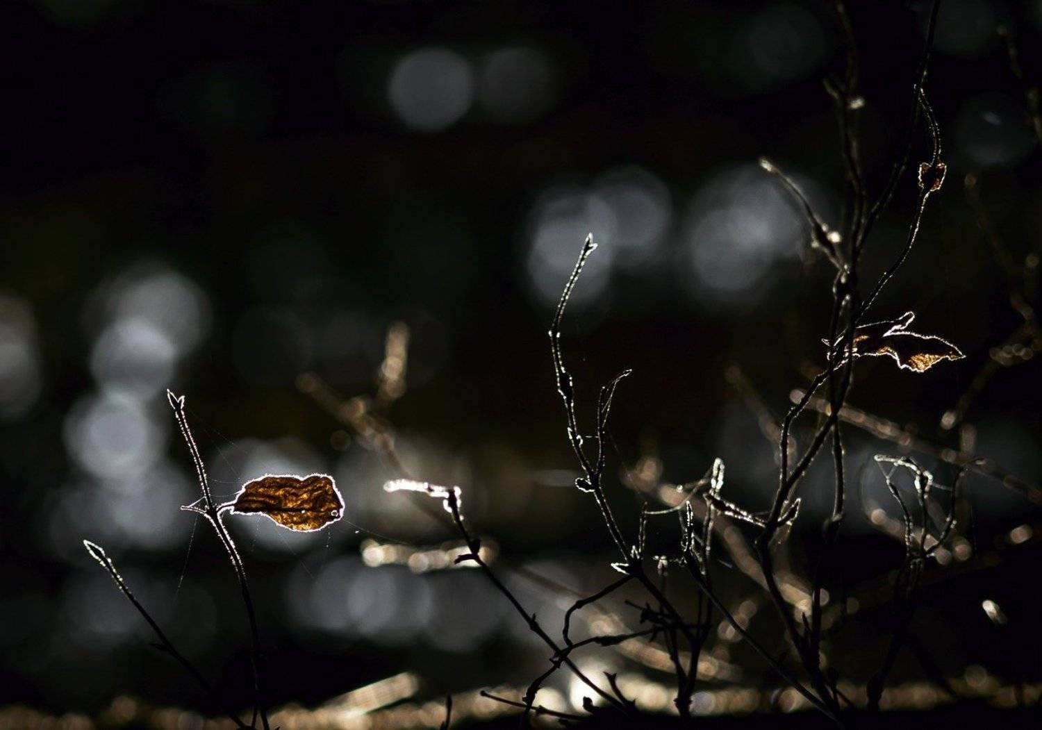 , Альбина Хакимова