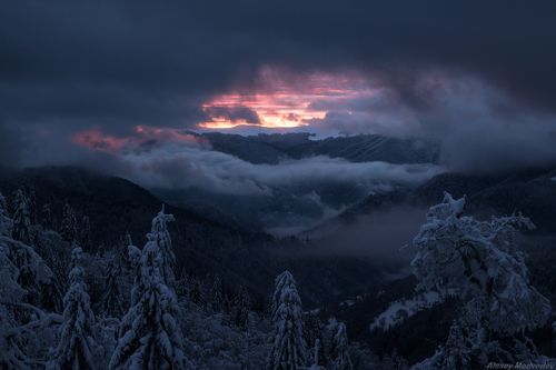 Зарождение света