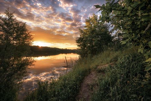 Подмосковные вечера