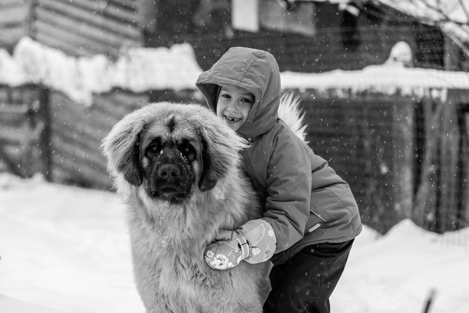 , Александр Шилов