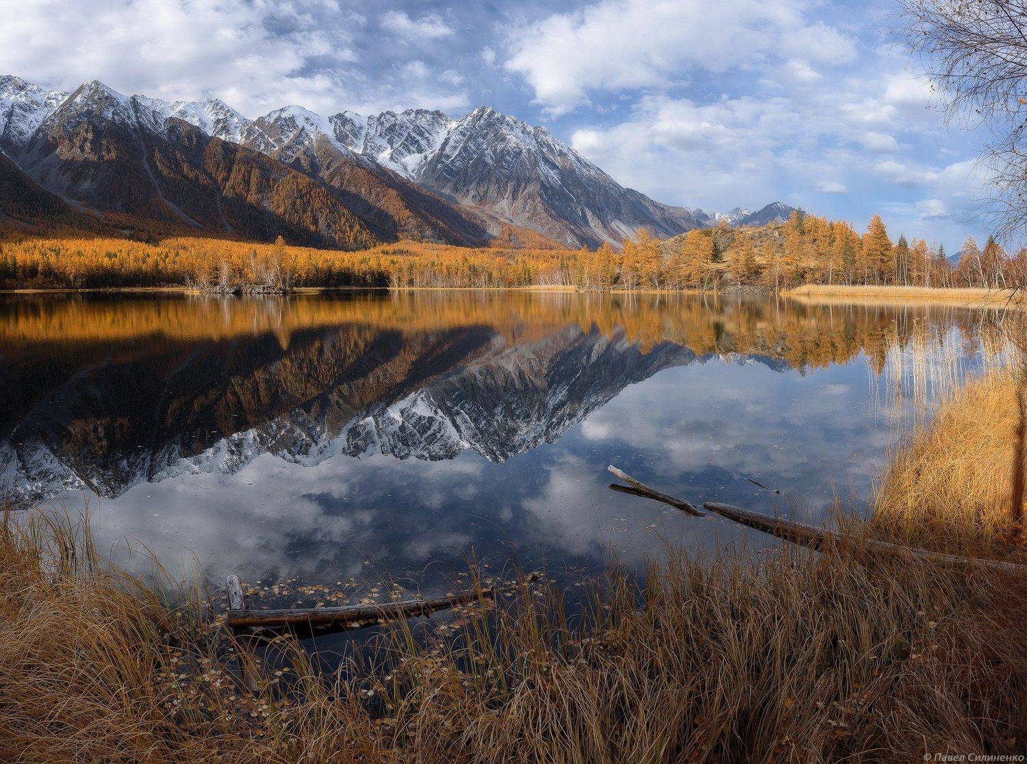 пейзаж, осень, горы, аргут, озеро, алтай, желтый, свет, лиственница, отражение, Павел Силиненко