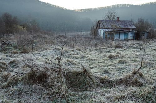 Январское утро в кубанской станице.