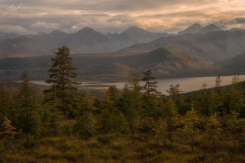 Живописный Джек фото превью