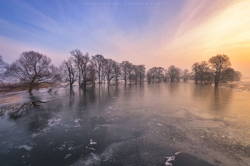 nationalpark unteres odertal ice water trees winter dranikowski morning cold odra river sky Nationalpark Unteres Odertal фото превью