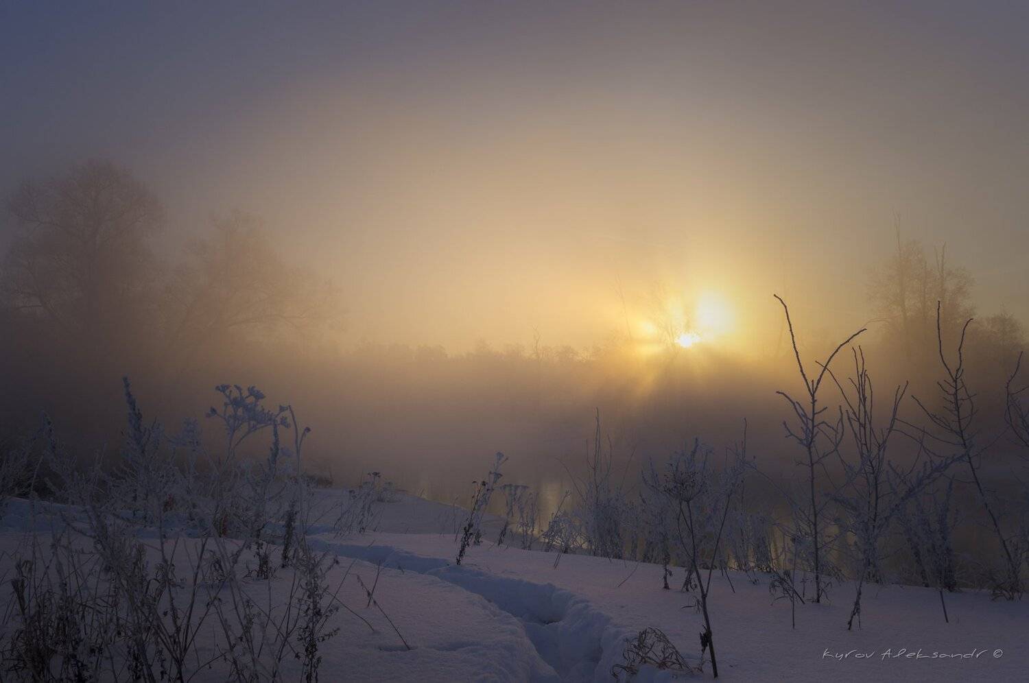 , Александр Кыров