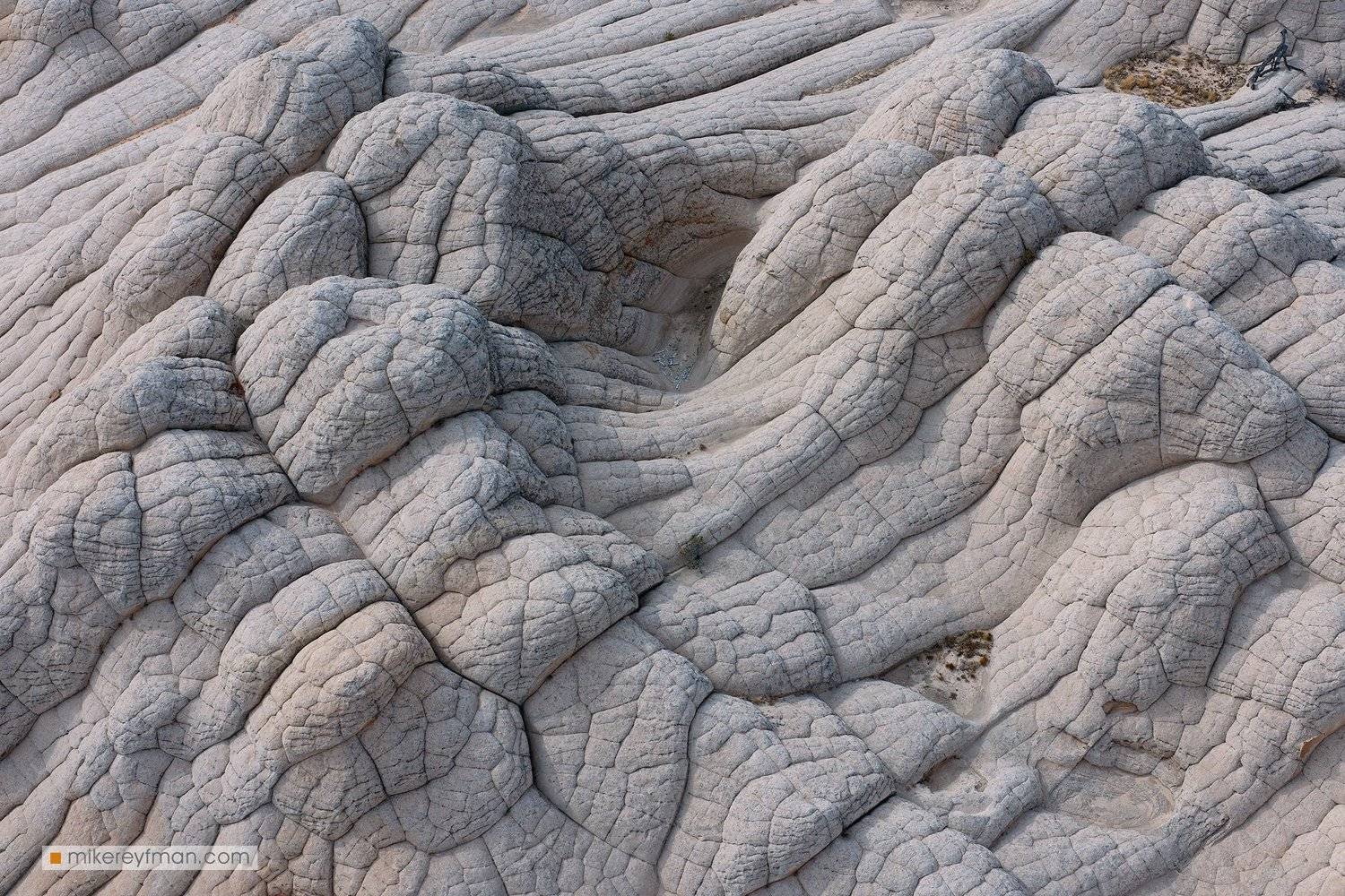 white pocket, arizona, texture, bones, unusual, spooky, us southwest, Майк Рейфман
