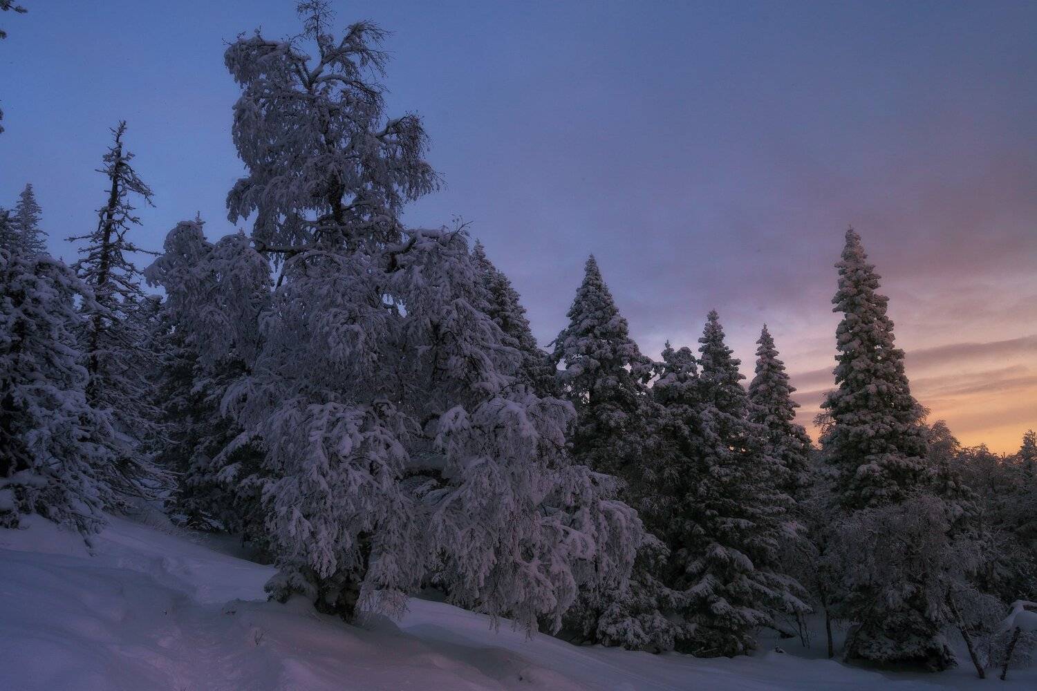 , Андрей Шарапов