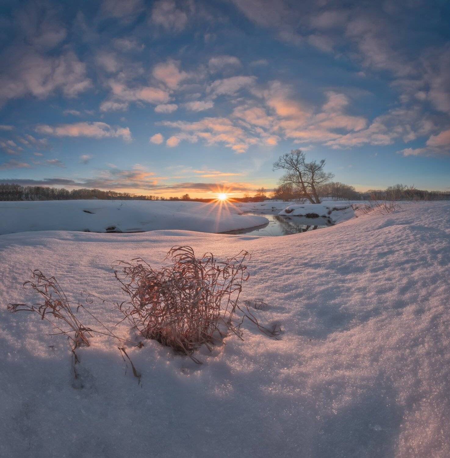 , Николай Андреев