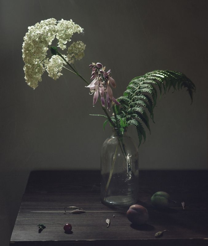 слива, цветы, гортензия, папоротник с неспелыми сливами фото превью