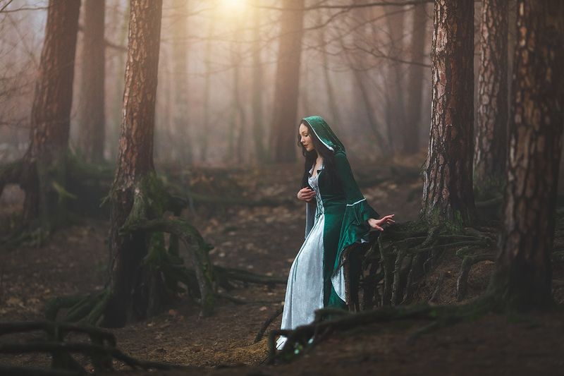 Forest фото превью