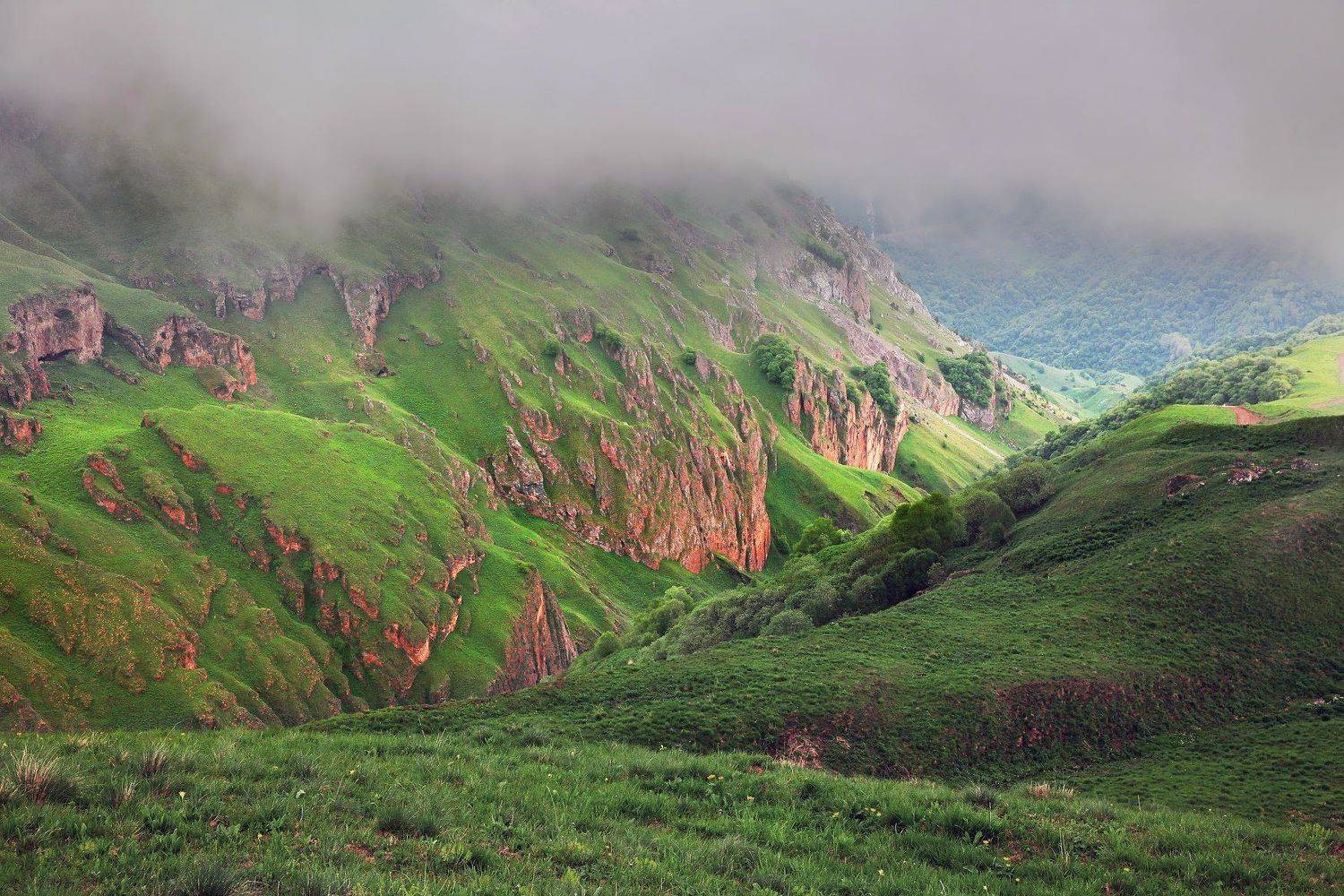 горы,лето,пейзаж,чечня., Marat Magov