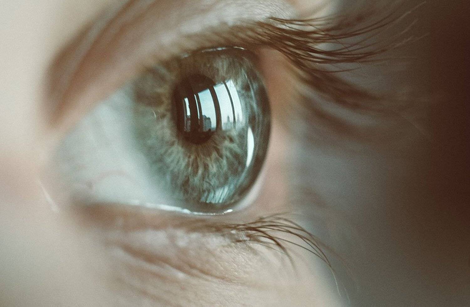 , Ольга Серёдкина