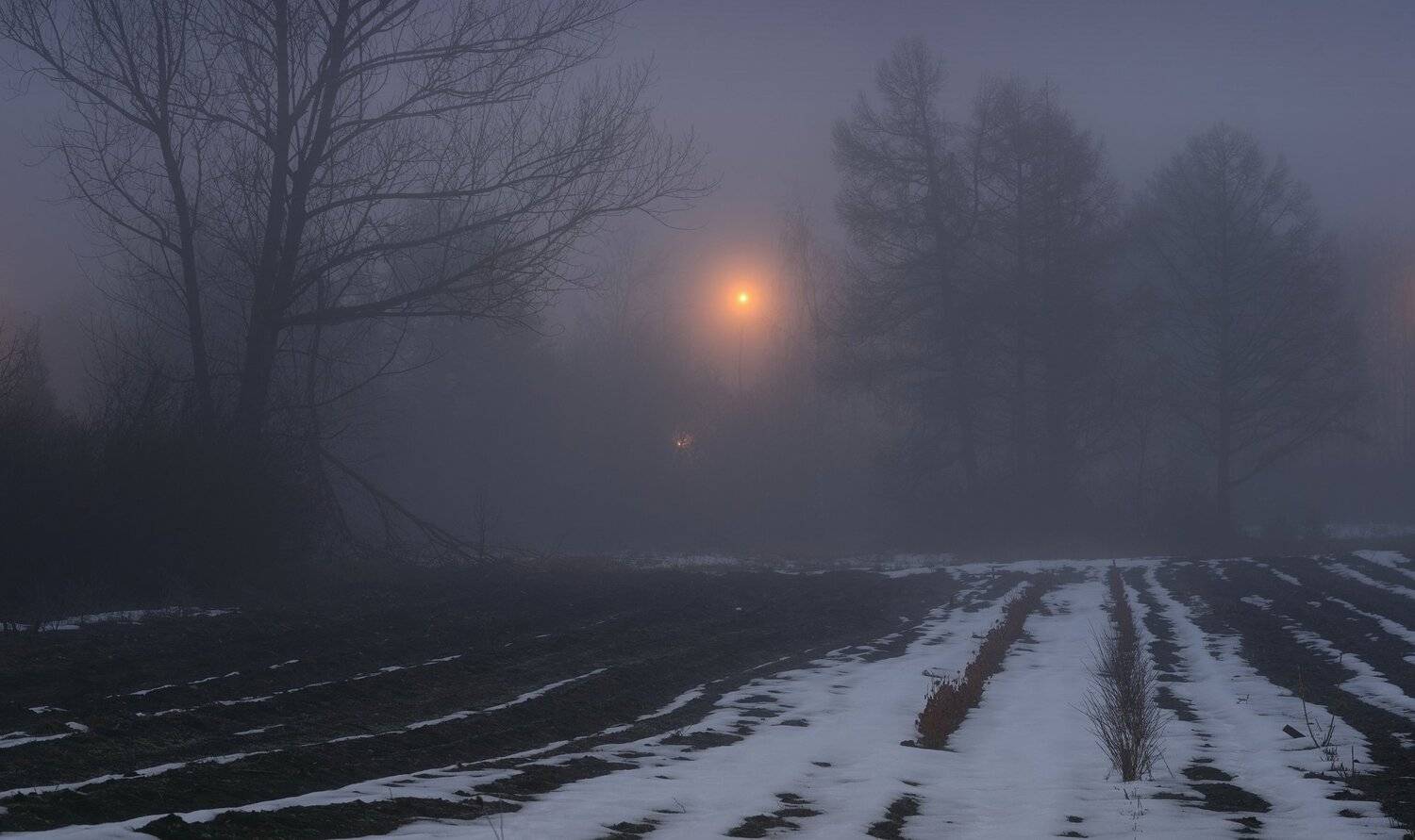 зима лес снег ночь, Александр Жарников