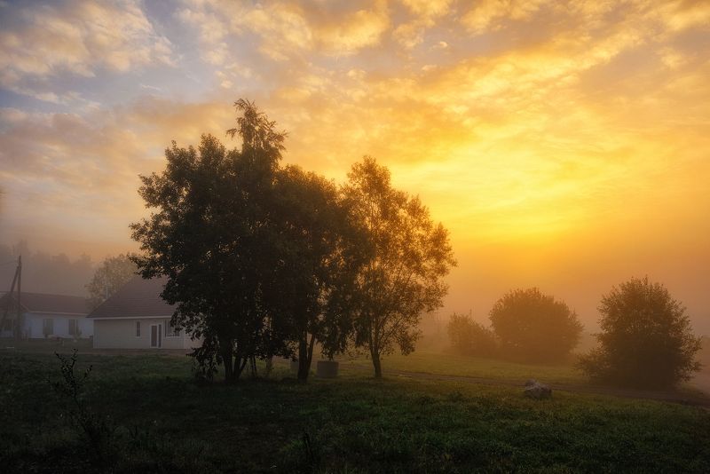 осень,сентябрь,тепло,утро,рассвет,свет,небо,пейзаж Осенним утром теплым фото превью