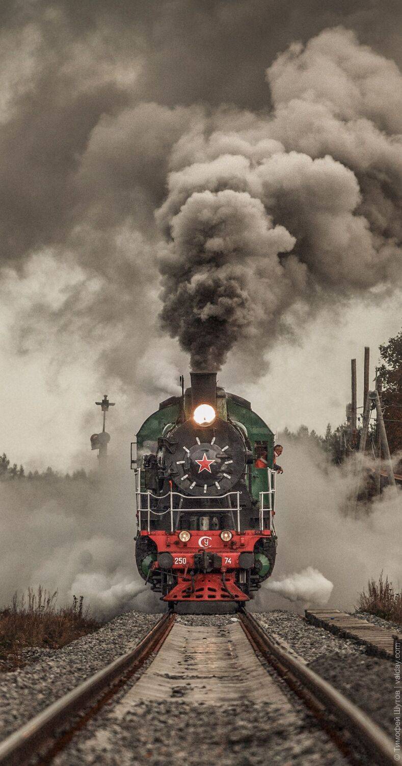 , Тимофей Шутов