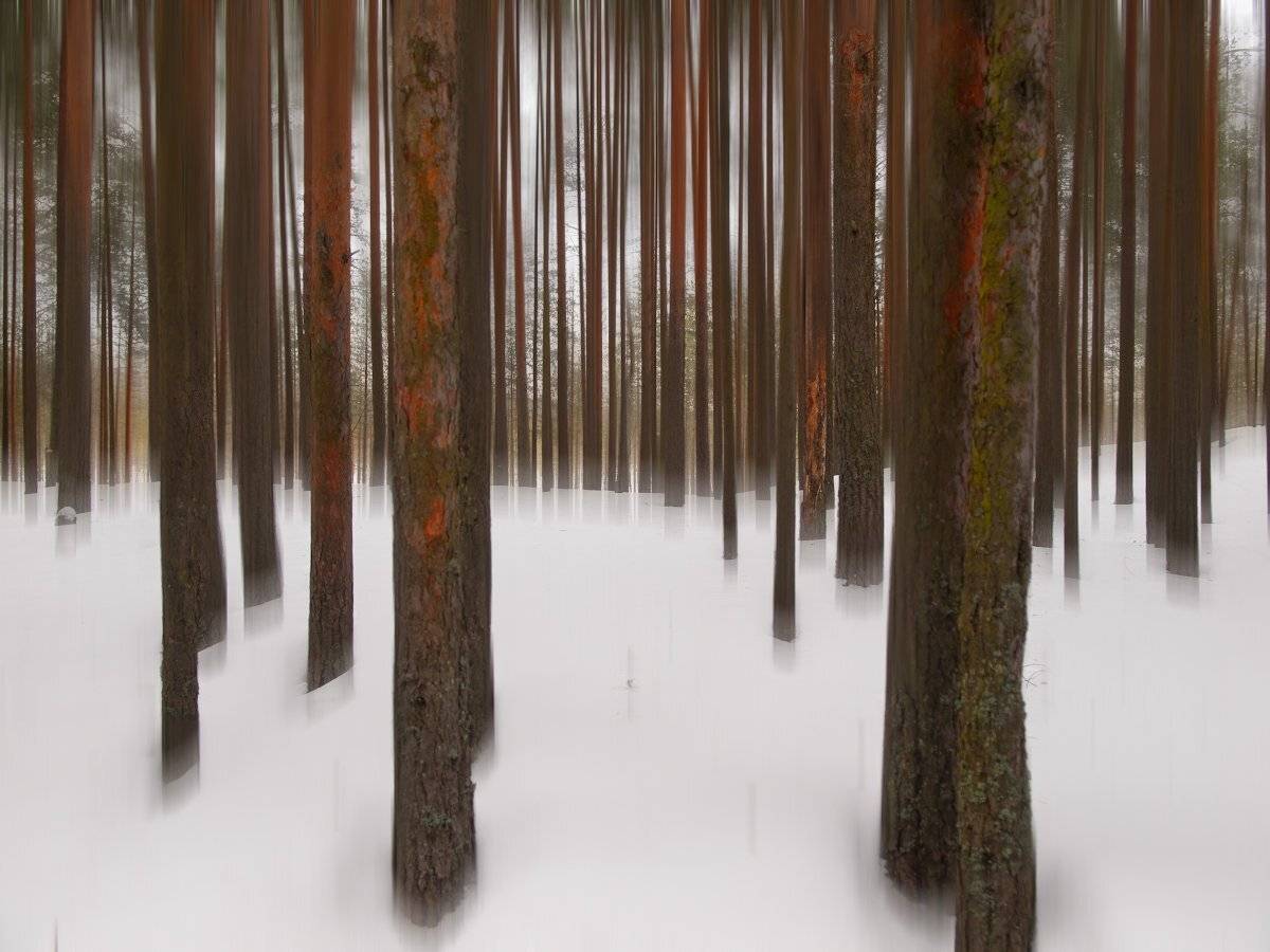 , Штабнов Юрий