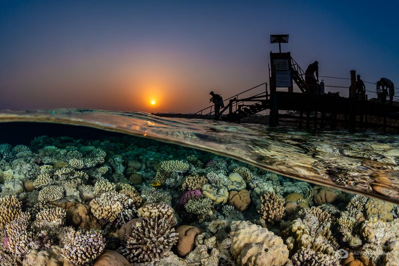 underwater, photography, sunset, split leve, above and below, over-under, egypt, sunset A Sunset Split фото превью