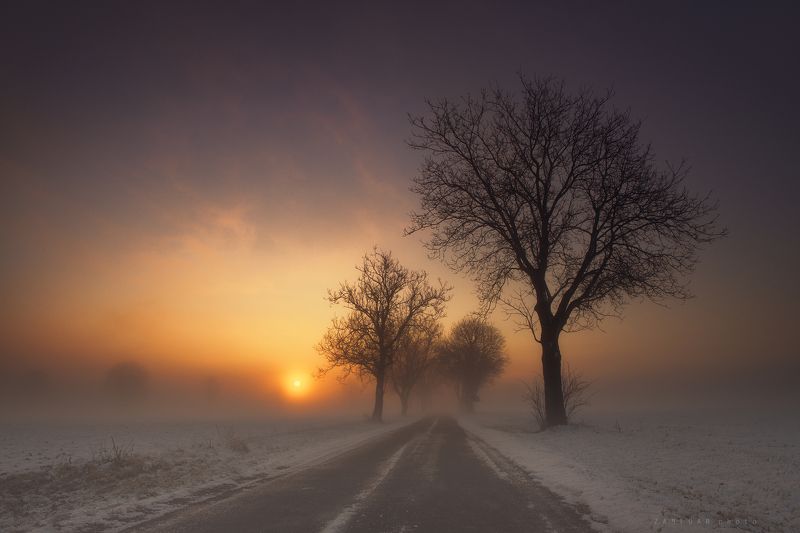 туманное утро,morning,landscape,fog,winter,snow,zanfoar,czech republic,bohemia,moravia,nikon d750,чехия,czech туманное утро фото превью