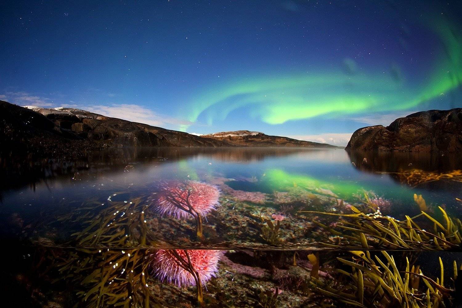кольский полуостров, север, полярное сияние, сплит, Никифоров Егор