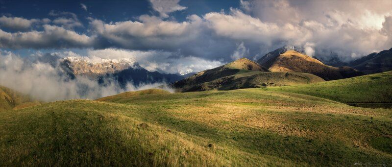 Альпийские луга Кавказа.