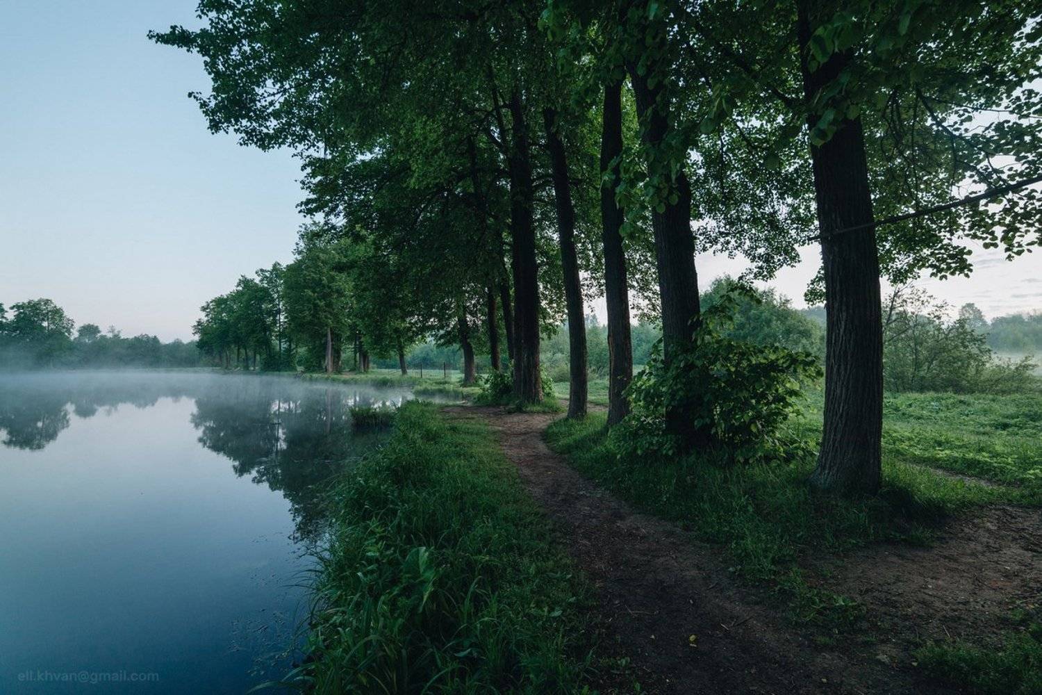 , Элина Хван