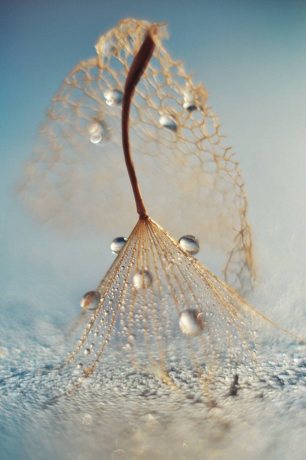 , Воинкова Ирина