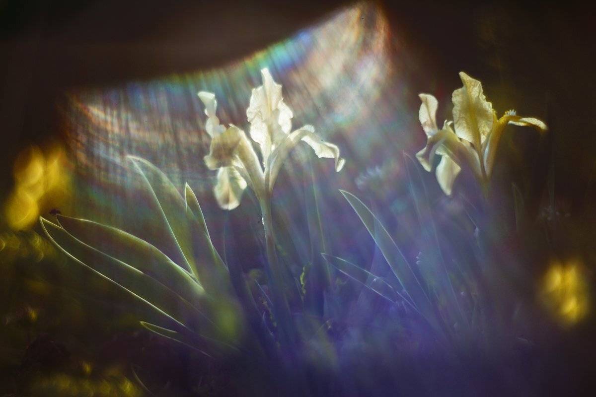 , Татьяна Аверина