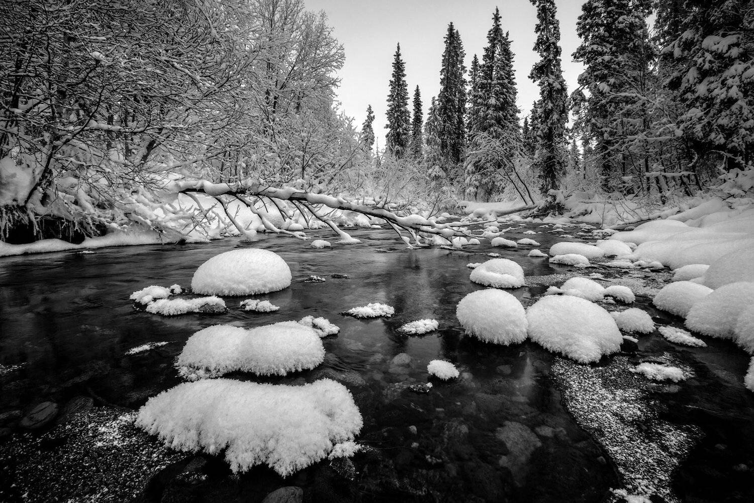 умболка, север, кольский, январь, хибины, мороз, изморозь,, Роман Горячий