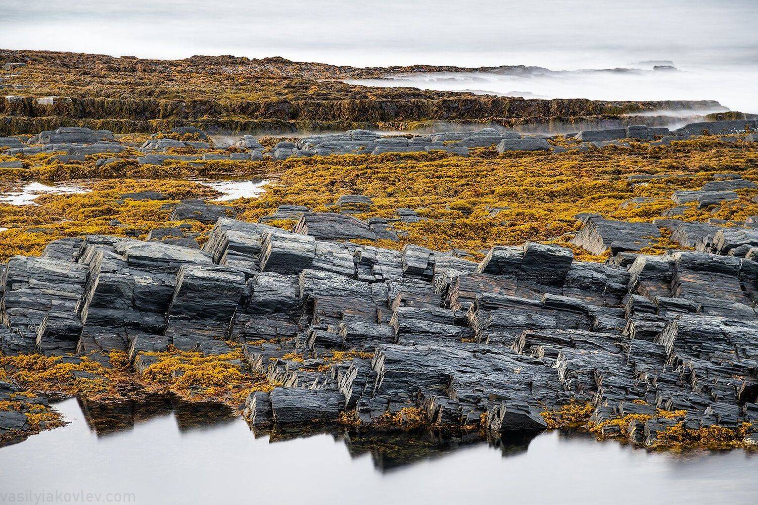 рыбачий, кольский, Василий Яковлев