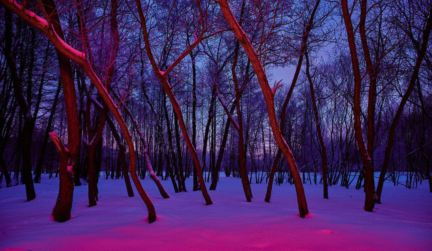 , Александр Фанковин