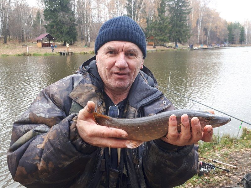 собственной персоной Ни хвоста, ни чешуи! фото превью