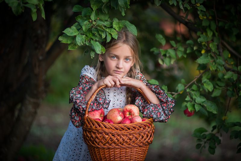 Яблочное лето фото превью