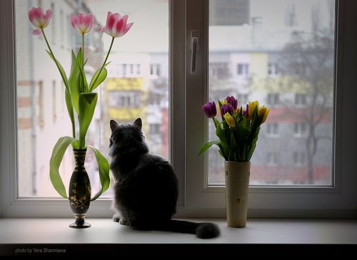 8 марта