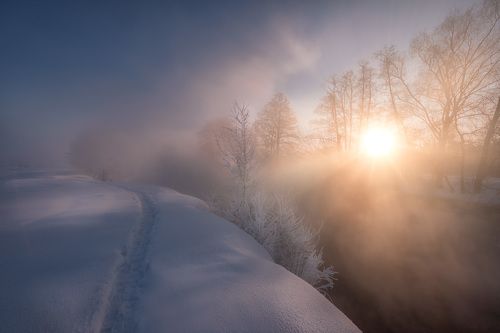 Январская тропинка