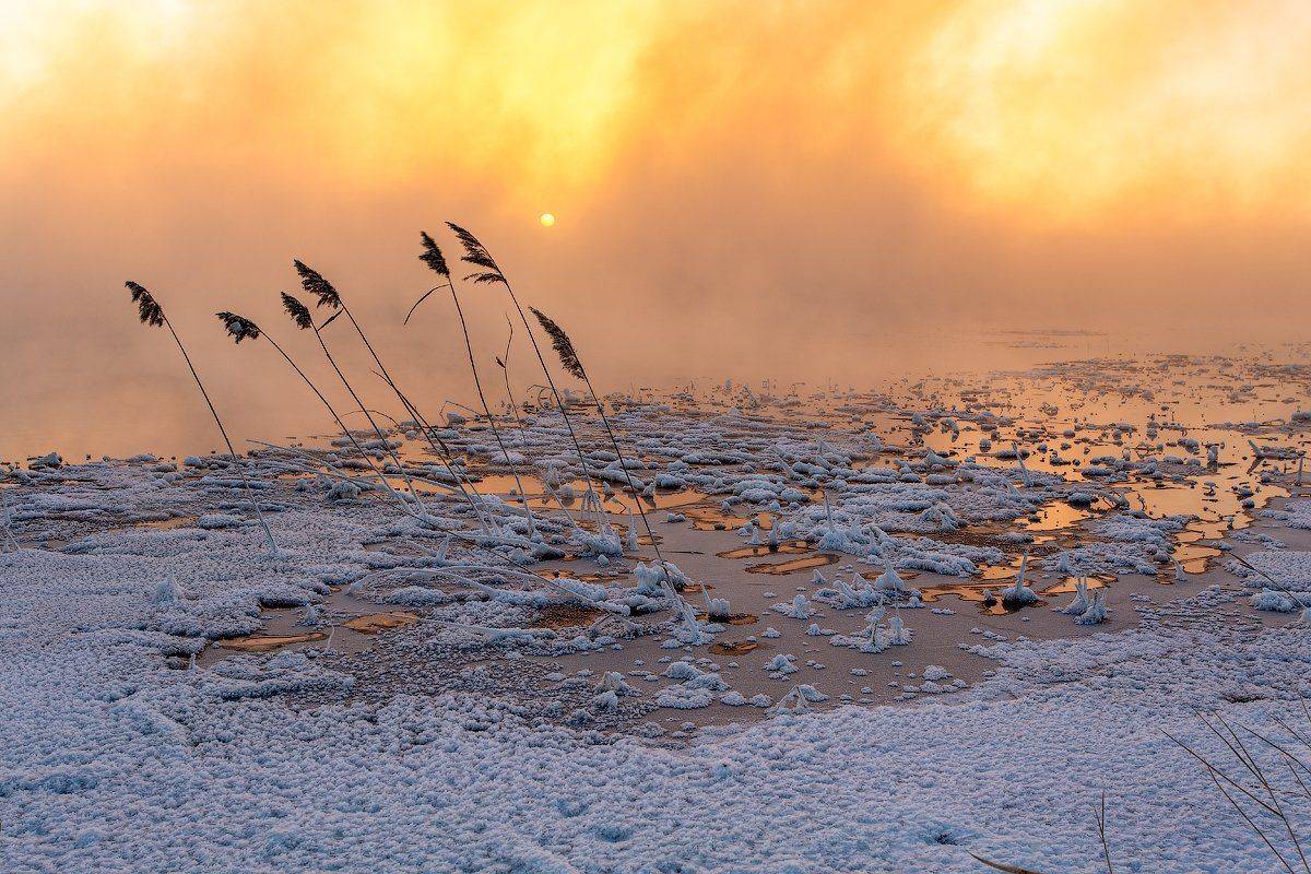 , Комеров Роман