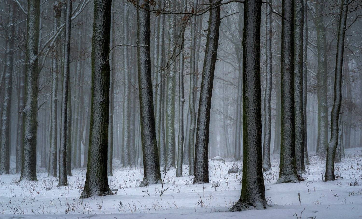 , Руслан Авдевич