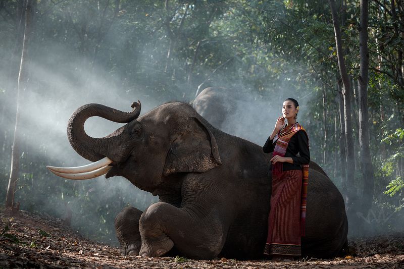 portrait,elephant,woman,Thai,animal Woman and Elephant  фото превью